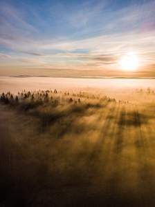 Dronella kuvattu kuva usvaisen metsän yläpuolelta, johon paistaa aurinko.