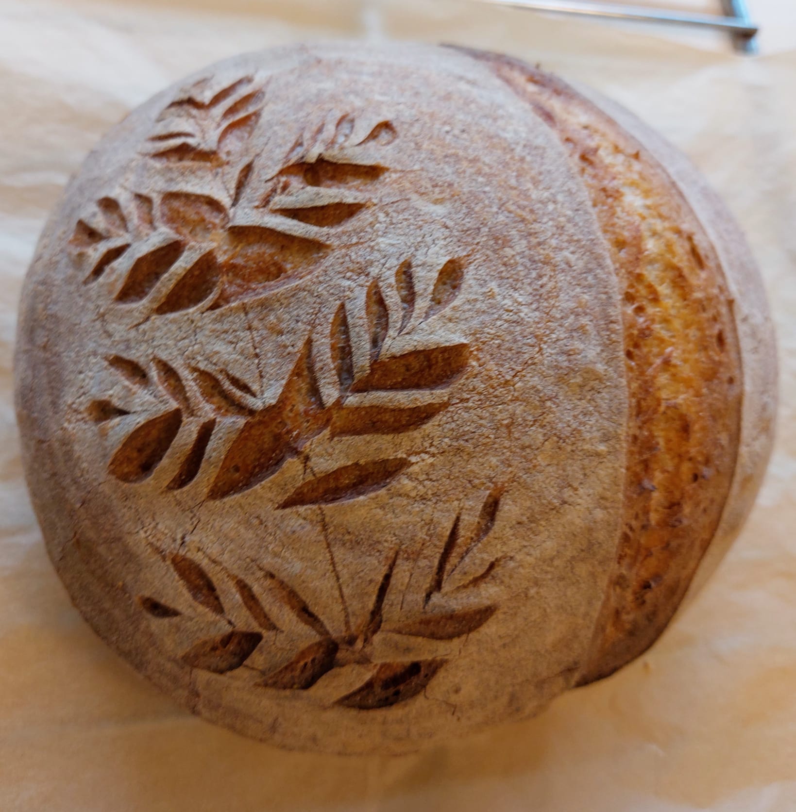 Hapanjuurileipä