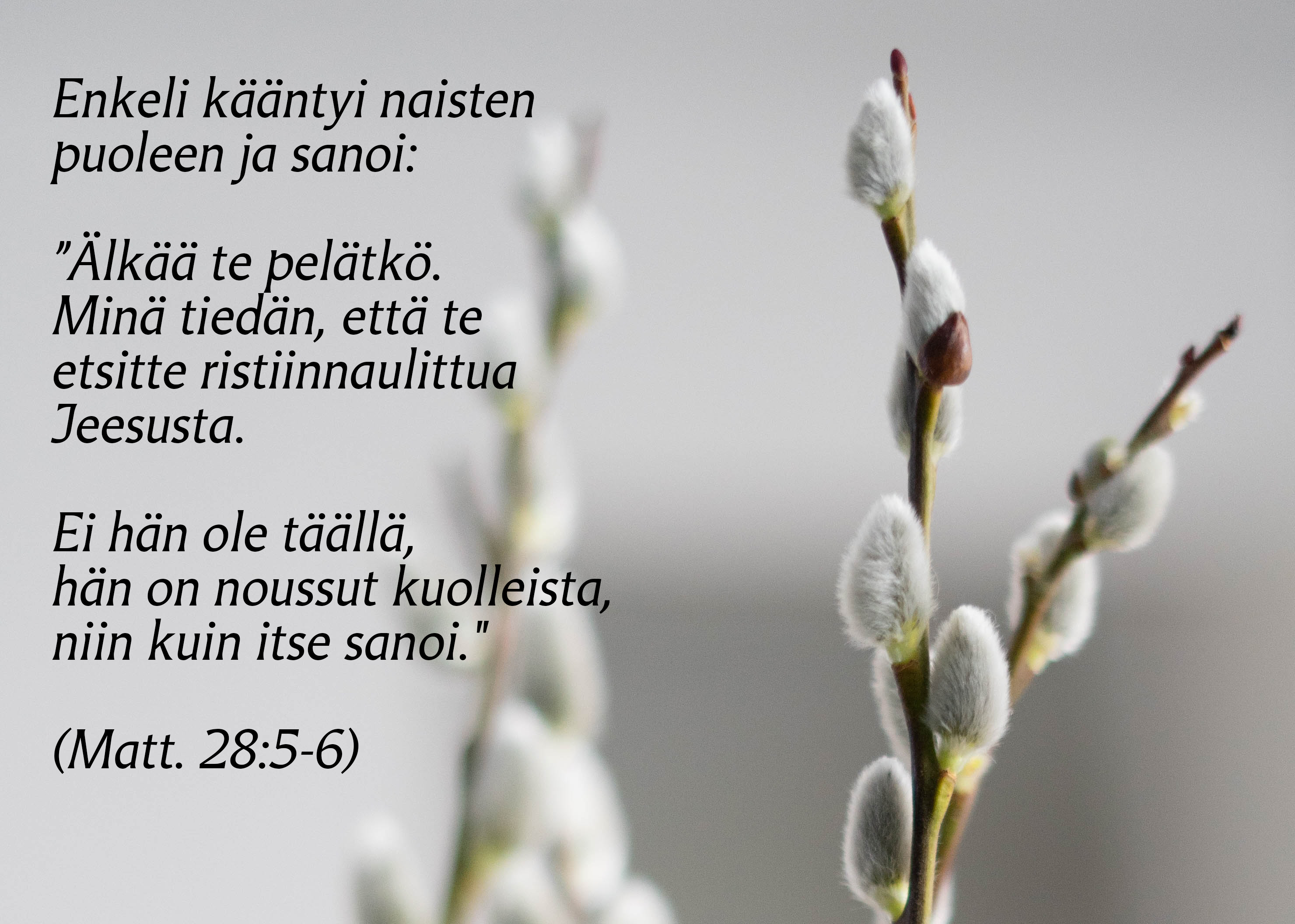 Pajunoksia sisällä.