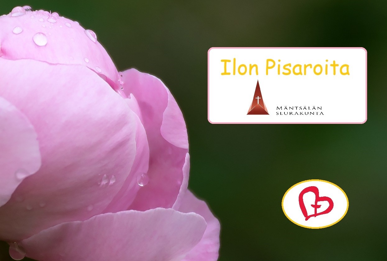 ilon pisaroita.jpg