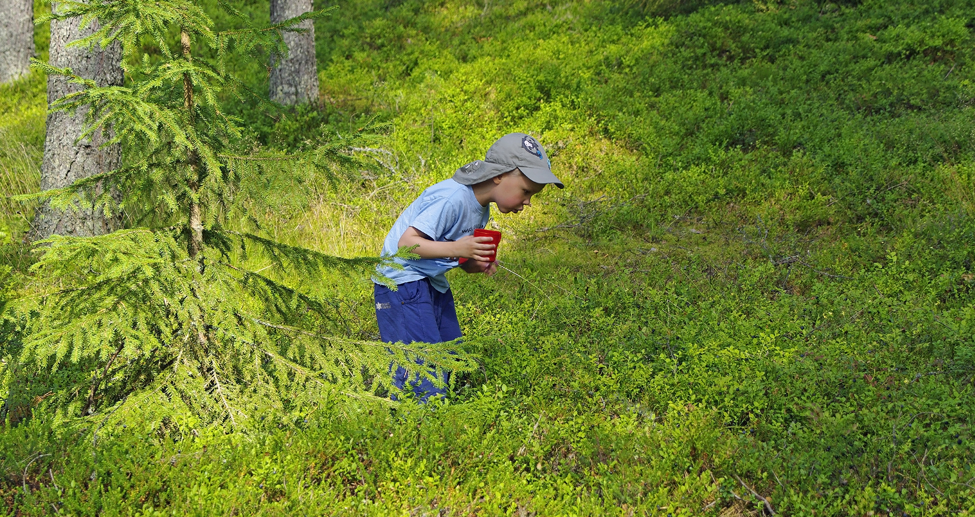 Poika metsässä