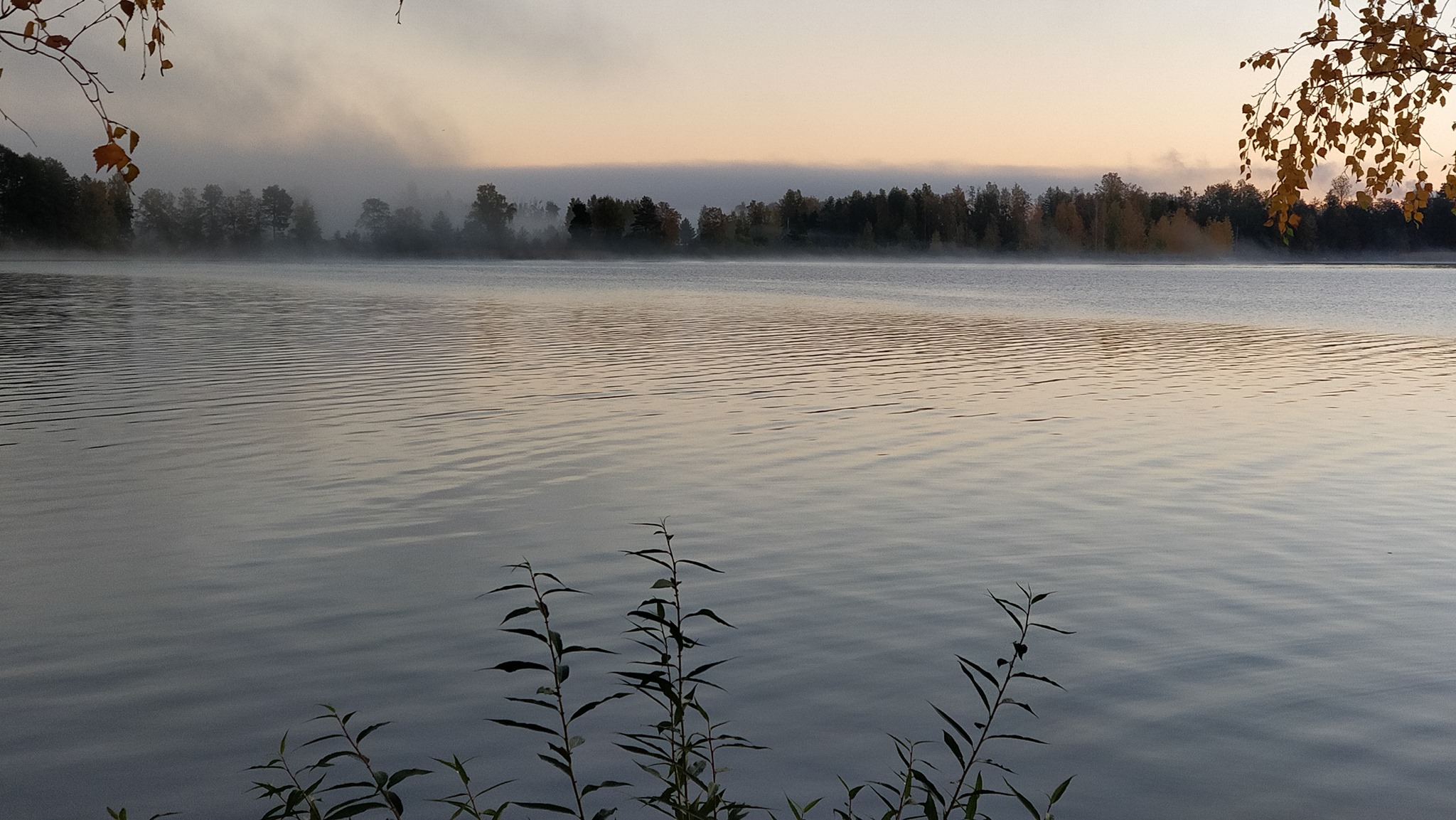 sumuinen järvimaisema